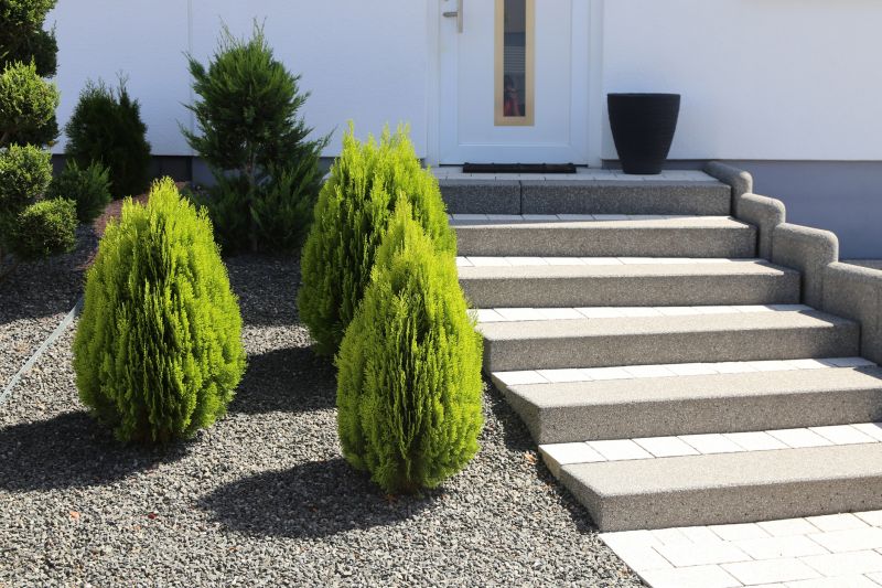 Basement Stairs Repair in Olathe, KS