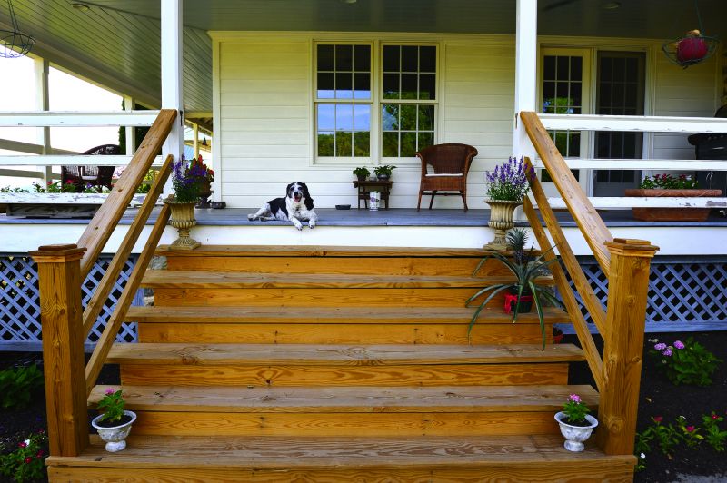 Squeaky Steps Repair in Olathe, KS